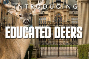 Educated Deers Typeface: A Bold Display Font for Modern Web Headers