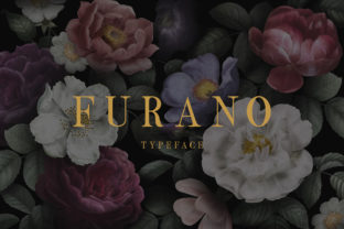 Furano Display Font for Modern Web Design