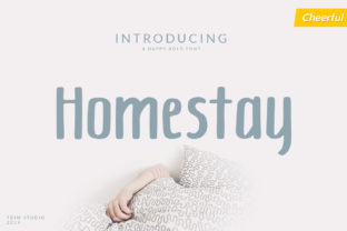 Homestay Typeface Review: Adding Sweetness to Editorial Design