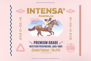 Intensa Family: Vintage 1960s Display Fonts for Crafters