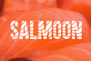 Salmoon: The Cute Display Font That Transforms Brand Identity